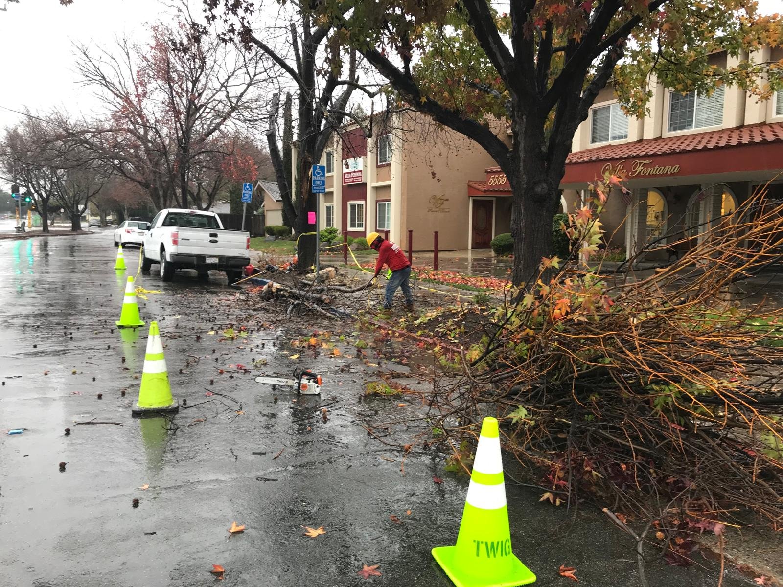 Procopio's emergency tree service